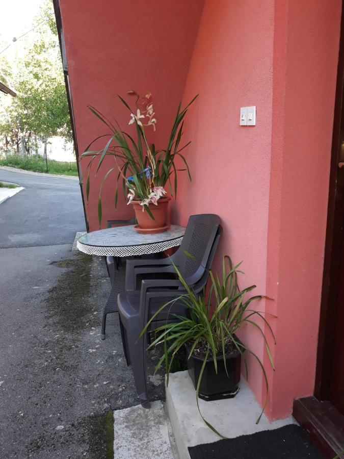 Biljevina Apartment Saborsko ภายนอก รูปภาพ