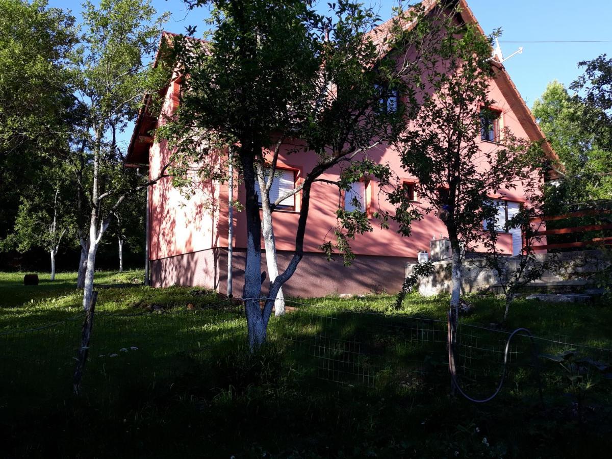 Biljevina Apartment Saborsko ภายนอก รูปภาพ