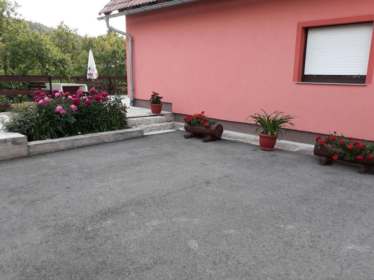 Biljevina Apartment Saborsko ภายนอก รูปภาพ